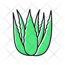 Succulent Sprouts Icon