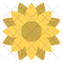 Sun Flower Icon