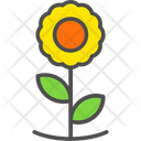 Sun Flower Agronomy Growth Icon