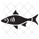 Sunfish Icon
