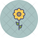 Sunflower Flower Spring Icon