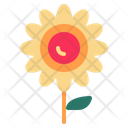 Sunflower Icon