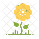 Sunflower Flower Summer Icon