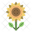 Sunflower Flower Farm Icon