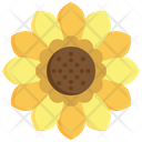 Sunflower Flower Yellow Icon