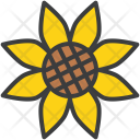 Sunflower Flower Autumn Icon