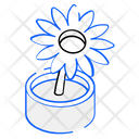 Sunflower Pot Icon