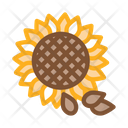 Sunflower Seeds Food Icon