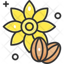 Sunflower Seeds Fruit Healthy Icon