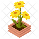 Sunflowers Icon