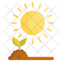 Sunlight Agriculture Garden Icon