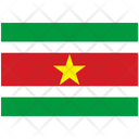 Flag Country Suriname Icon