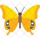 Swallowtail Fly Insect Icon