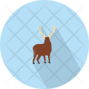 Swamp  Icon