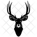 Swamp  Icon