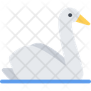 Swan Bird Duck Icon