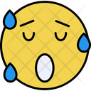 Sweating  Icon