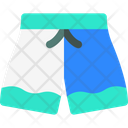 Swimming Trunks Summer Pants Icon