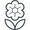 Swirl  Icon