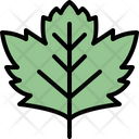 Sycamore Leaf Icon