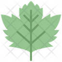 Sycamore Leaf Icon