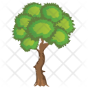 Sycamore Green Foliage Icon