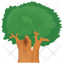 Sycamore Tree Icon