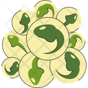 Tadpole Embryo Cluster Icon