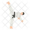 Taekwondo Martial Arts Martial Icon