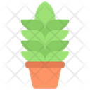 Tall Plant Icon