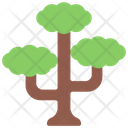 Tall Tree Icon
