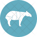 Tapir Tapiridae Tapirus Icon