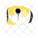 Teadrop Butterfly Fish Icon