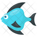 Teardrop Fish Icon