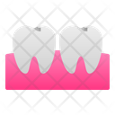 Teeth Gum Molar Icon