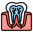 Teeth Nerve Icon
