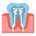 Teeth Nerve Icon