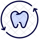 Teeth recheck Icon
