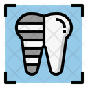 Teeth Xray Icon