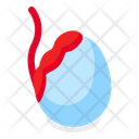 Testicle  Icon