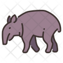 The Tapir Tapirus Wild Animal Icon