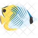 Threadfin Butterfly Fish  Icon