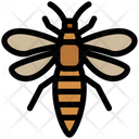 Thrips Icon