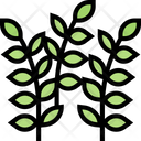 Thyme Leaf Thyme Leaf Icon