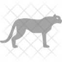 Tiger Animal Felidae Icon