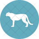 Tiger Felidae Pantherinae Icon