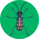 Tiger Beetle Beetle Insects Icon