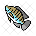 Tilapia Fish Icon