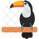 Bird Cartoon Toucan Ramphastidae Icon