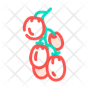Tomato Branch Icon